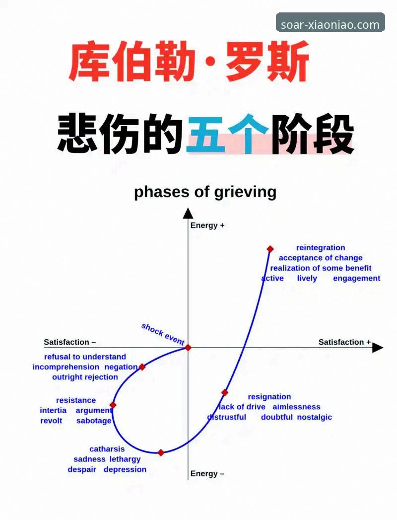 小鸟体育赛事直播 深度揭秘:巴斯克德比背后的生死较量与500场里程碑