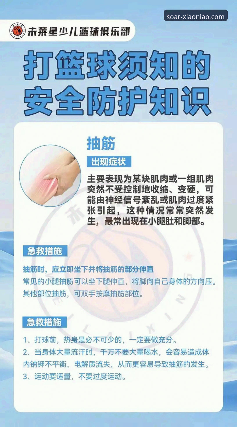 小鸟体育平台安全实用指南：从入门到放心使用必备知识