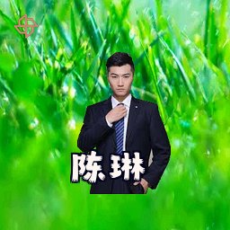 陈琳